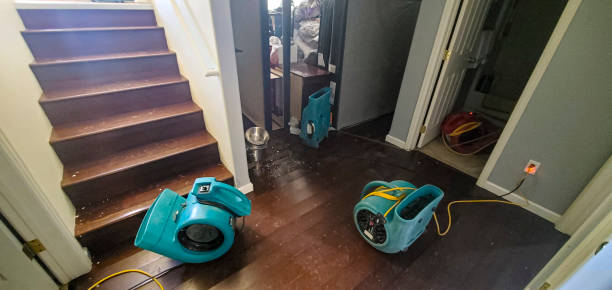 Best Fire Damage Restoration  in South Hooksett, NH