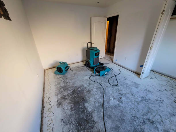 Best Flood damage cleanup  in South Hooksett, NH