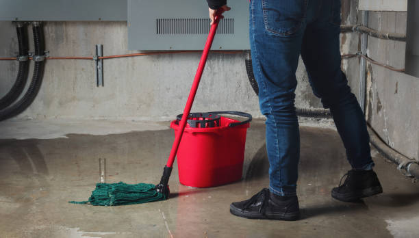 Best Water damage restoration experts  in South Hooksett, NH