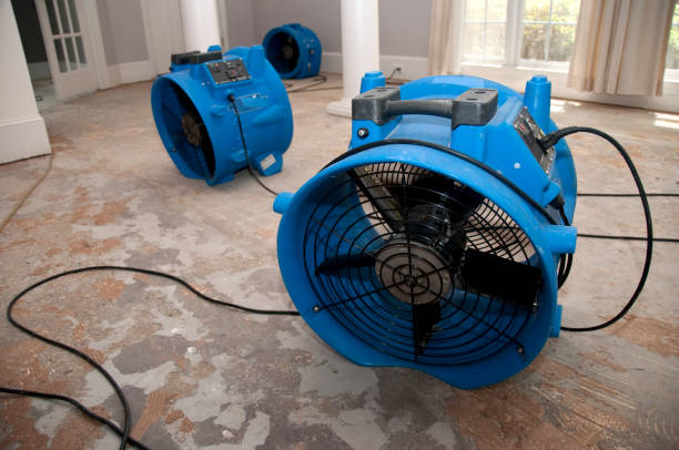 Best Professional water damage repair  in South Hooksett, NH