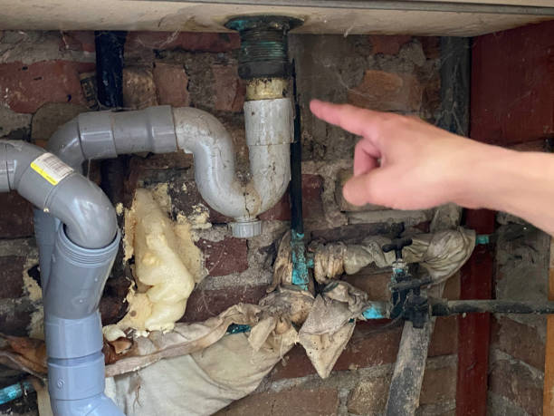 Reliable NH Water damage restoration Solutions