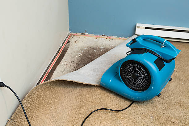 Best Basement water damage restoration  in South Hooksett, NH